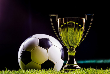 保障意大利 保障意大利