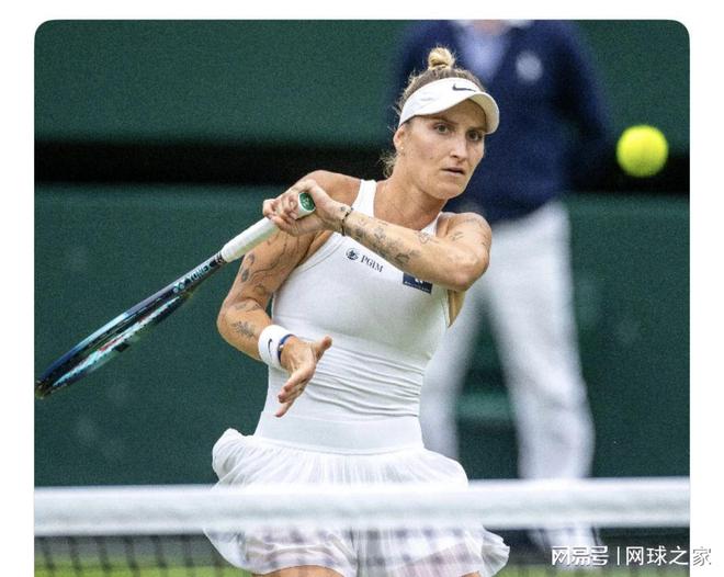 杂且动态修 杂且动态修